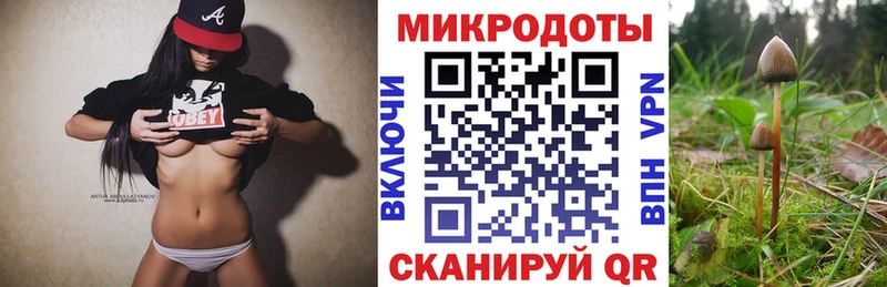 Галлюциногенные грибы прущие грибы  Семёнов 
